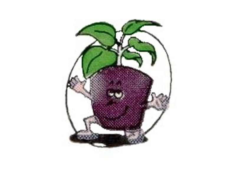 細かな作業で生まれる高品質